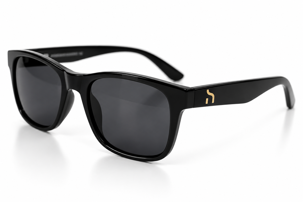 Black Haensch Coast Signature sunglasses with dark lenses and subtle gold H detail on a white background.