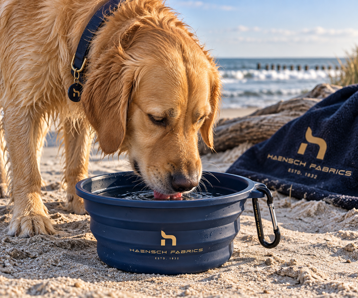 Golden Retriever trinkt am Strand aus dem faltbaren Haensch Coast Travel Bowl in Deep Navy mit goldenem Haensch Fabrics Logo.