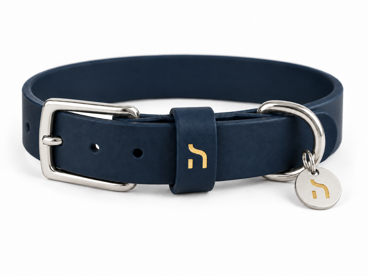 Haensch Coast Waterproof Dog Collar in Deep Navy mit silberfarbenen Beschlägen, goldenem Haensch Logo und passender Hundemarke als freigestelltes Produktfoto.